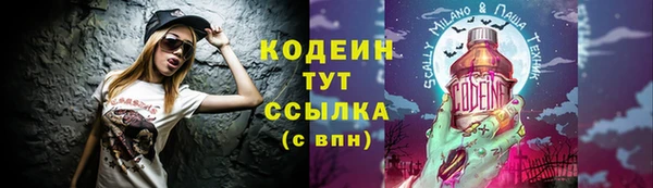 не бодяженный Бородино