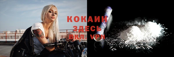 не бодяженный Бородино